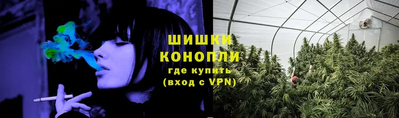 где купить наркотик  Алагир  Каннабис OG Kush 